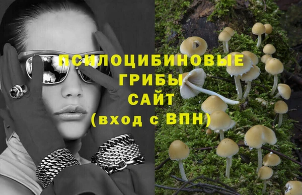 марки lsd Белокуриха