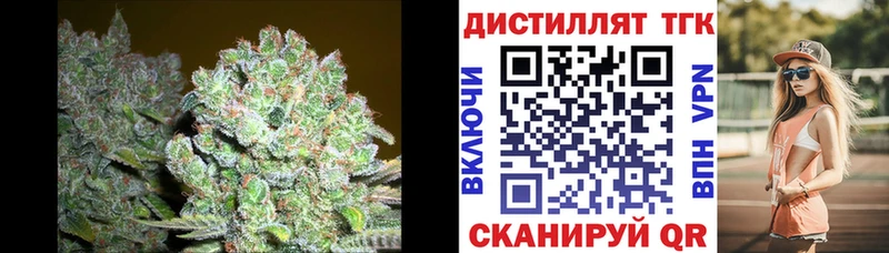 блэк спрут ссылка  Светогорск  Дистиллят ТГК концентрат 