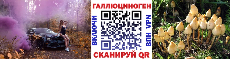 Галлюциногенные грибы Psilocybine cubensis купить наркотик даркнет официальный сайт Светогорск